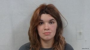 Elizabeth Sebolka Arrest Mugshot