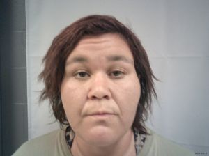 Emily Collins Arrest Mugshot