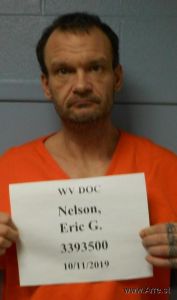 Eric Nelson Arrest