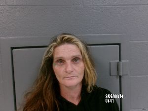 Erica Alderman Arrest Mugshot