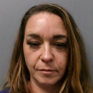 Erin Wolfe Arrest Mugshot