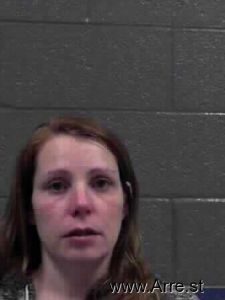 Erin Reed Arrest Mugshot