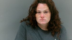 Fannie Chaffins Arrest Mugshot