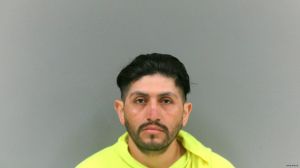 Galicia Ortiz Arrest Mugshot