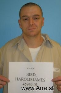 Harold Bird Arrest Mugshot
