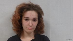 Haley Minney Arrest Mugshot