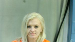 Heather Thompson Arrest