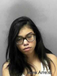 Iris Mejia Arrest Mugshot