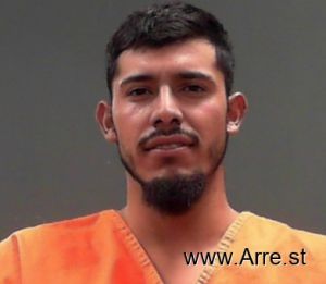 Janbler Torres-santos Arrest Mugshot