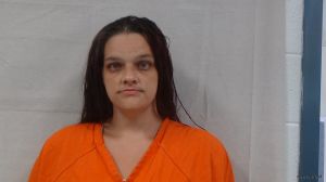 Jennifer Brandenburg Arrest Mugshot