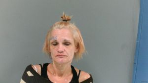 Jennifer Orcutt Arrest Mugshot