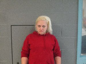 Jennifer Young Arrest Mugshot