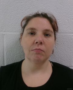 Jessica Baugher Arrest Mugshot