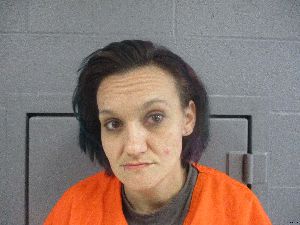 Jessica Fitzgerald Arrest Mugshot