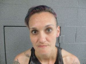 Jessica Fitzgerald Arrest Mugshot