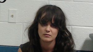 Jessica Haselden Arrest Mugshot