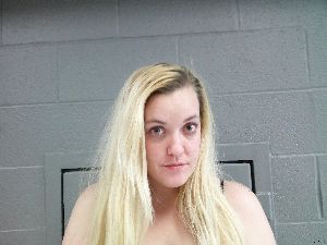 Jessica Mcdougal Arrest Mugshot