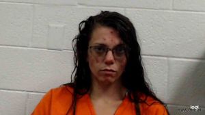Jessica Offenberger Arrest Mugshot