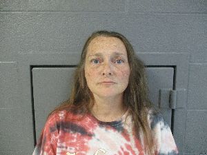 Juanita Lantz Arrest Mugshot