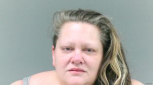 Julie Miller Arrest Mugshot