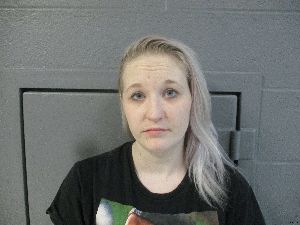 Julie Truax Arrest Mugshot