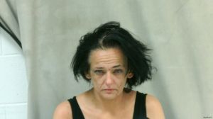 Karen Cox Arrest Mugshot