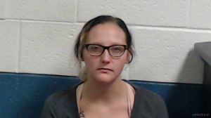 Kaysee Cheselka Arrest