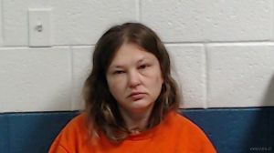 Kimberly Leeber Arrest