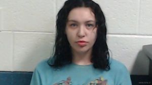 Kirsten Wolfe Arrest Mugshot