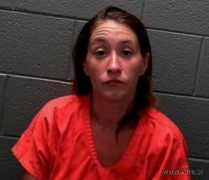 Krista Tingler Arrest Mugshot