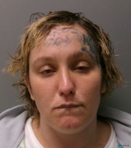 Kristin Hoffman Arrest