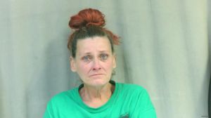 Linda Berry Arrest Mugshot