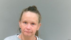 Linda Wiley Arrest Mugshot