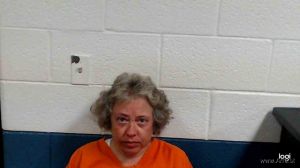 Lisa Callison Arrest Mugshot