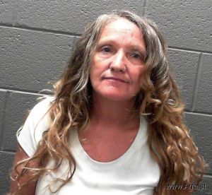 Lisa Collins Arrest Mugshot