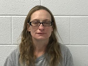 Lisa Godwin Arrest Mugshot
