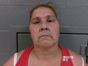 Lisa Hinchman Arrest Mugshot