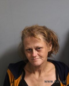 Lisa Johnson Arrest Mugshot