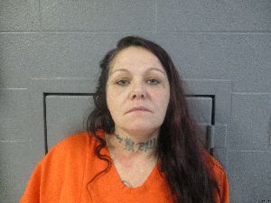 Lisa Lloyd Arrest Mugshot