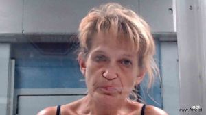 Lisa Myers Arrest