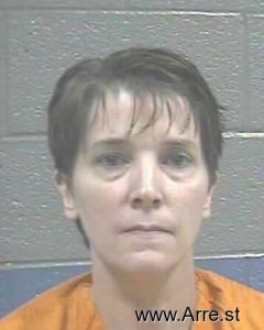 Lisa Ayers Arrest Mugshot