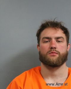 Logan Palmer Arrest Mugshot