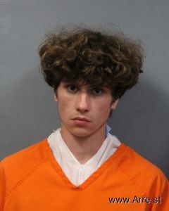 Logan Willis Arrest Mugshot