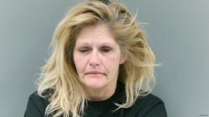 Lori Collins Arrest Mugshot