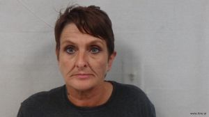 Malisa Hoff Arrest Mugshot