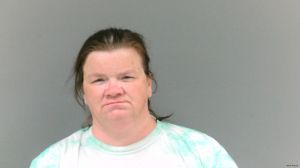 Mary Dillon Arrest Mugshot