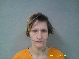 Meagan Haynes Arrest Mugshot