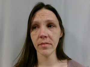Megan Daniels Arrest Mugshot