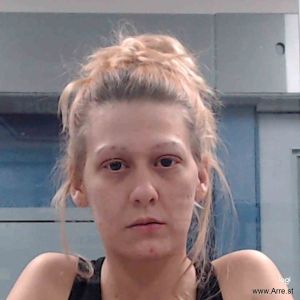 Megan Long Arrest Mugshot