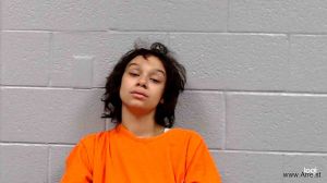 Melanie Hussian Arrest